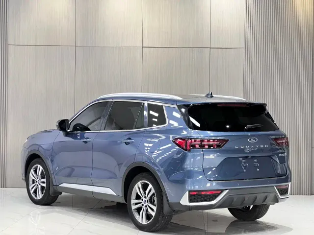 Ford Lingrui — Фото автомобиля 12