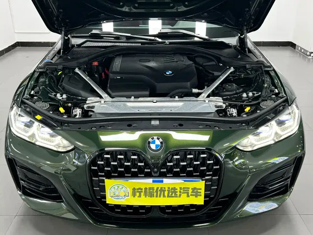 BMW 4 Series — Фото автомобиля 13