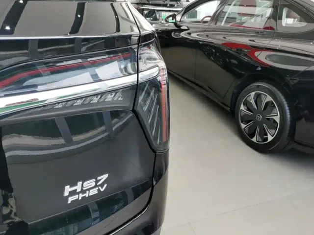 Hongqi HS7 PHEV — Фото автомобиля 7