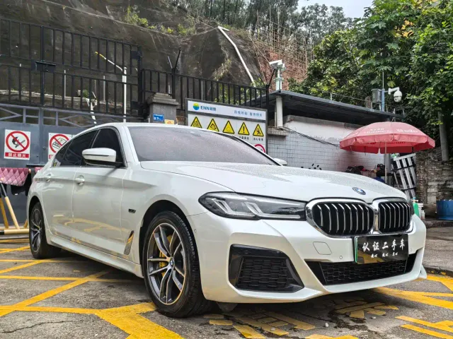 BMW 5 Series — Фото автомобиля 5