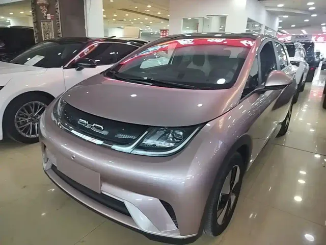 Фотография автомобиля — BYD Dolphin