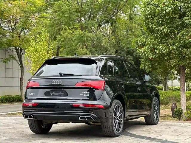 Audi Q5L — Фото автомобиля 4