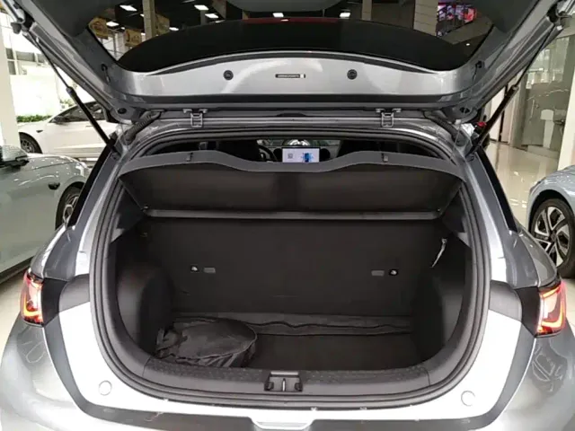 BYD Dolphin — Фото автомобиля 18