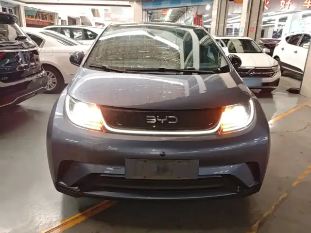 BYD Dolphin — Фото автомобиля 2