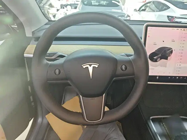 Tesla Model Y — Фото автомобиля 10