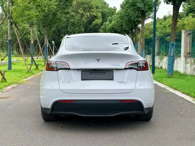Tesla Model Y — Фото автомобиля 4