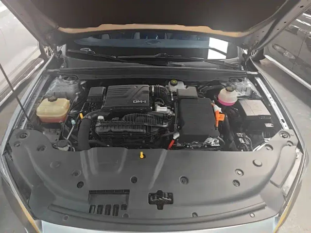 BYD Qin PLUS 2021 DM-i 55KM Flagship — Фото автомобиля 19