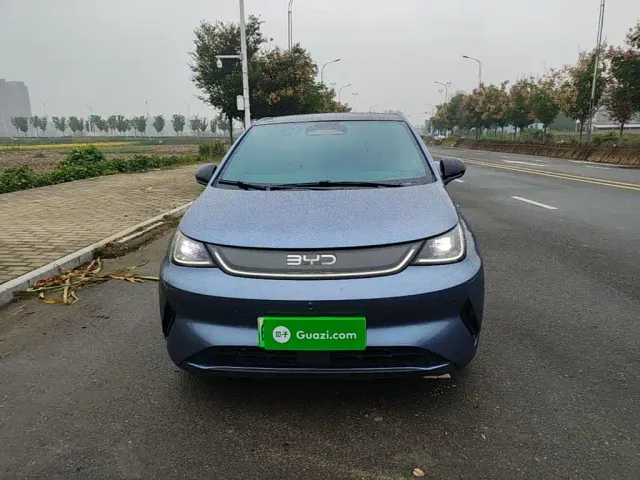 BYD Dolphin 2025 Smart Drive Edition 410km Fashion Version — Фото автомобиля 2