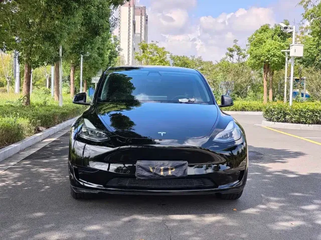 Tesla Model Y — Фото автомобиля 2