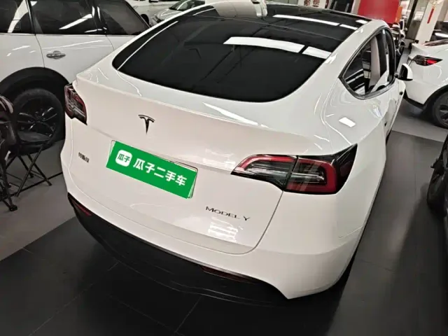 Tesla Model Y — Фото автомобиля 6