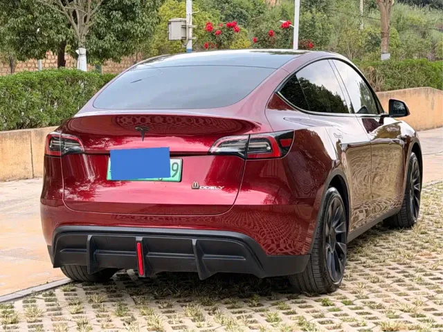 Tesla Model Y — Фото автомобиля 6