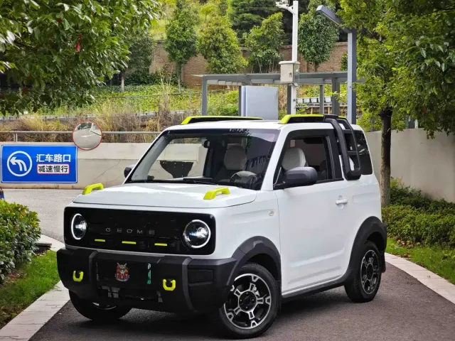 Фотография автомобиля — Geely Panda
