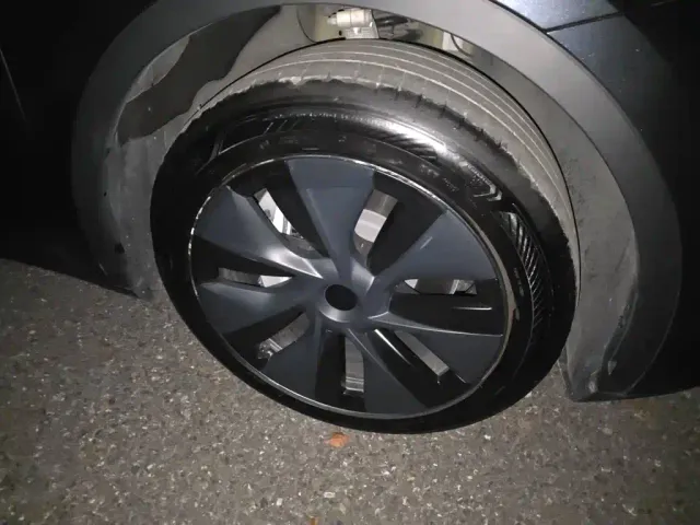 Tesla Model Y — Фото автомобиля 24