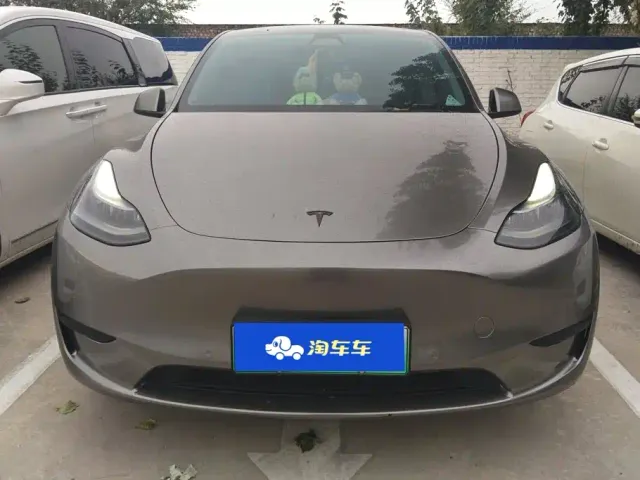 Tesla Model Y — Фото автомобиля 2