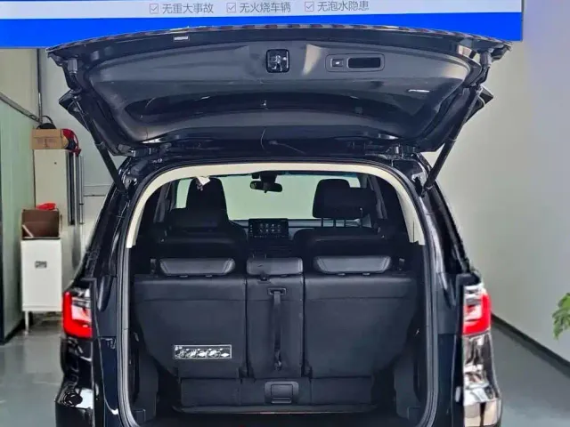 Honda Elysion — Фото автомобиля 21