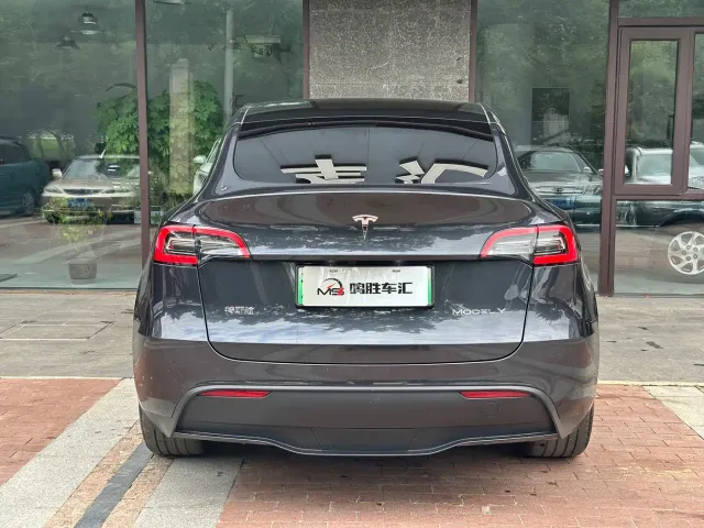 Tesla Model Y — Фото автомобиля 7