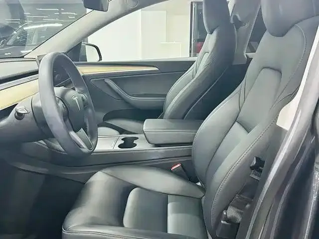 Tesla Model Y — Фото автомобиля 9
