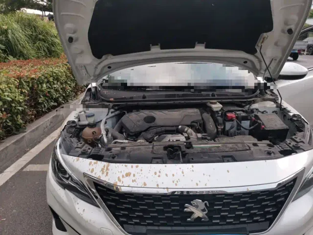 Peugeot 408 — Фото автомобиля 20