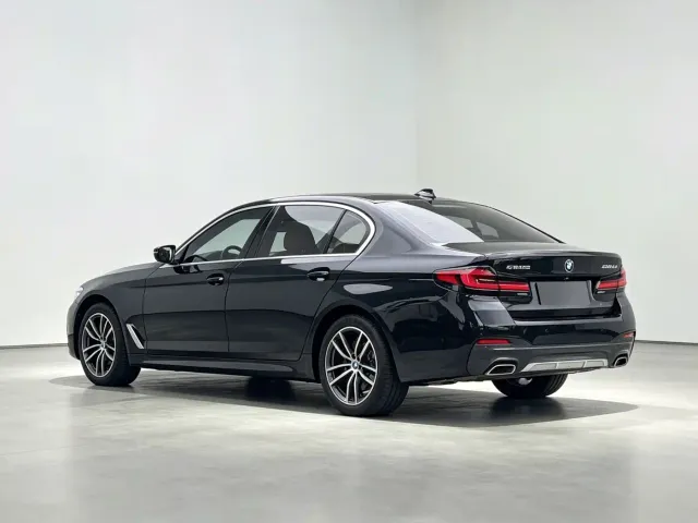 BMW 5 Series — Фото автомобиля 8