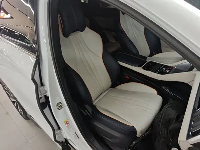 BYD Song PLUS — Фото автомобиля 24
