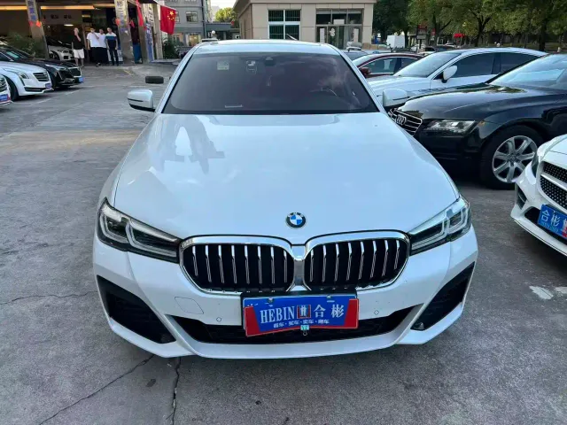 BMW 5 Series — Фото автомобиля 11