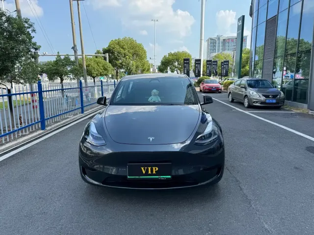 Tesla Model Y — Фото автомобиля 2