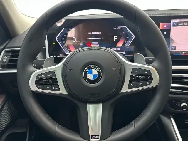 BMW 3 Series — Фото автомобиля 10