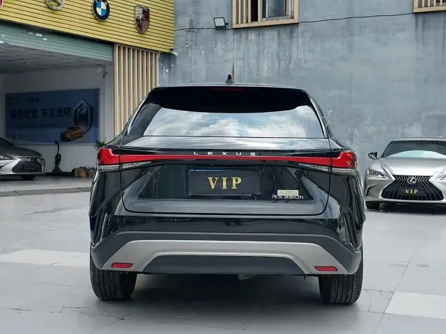 Lexus RX — Фото автомобиля 10