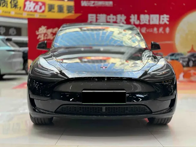 Tesla Model Y — Фото автомобиля 2