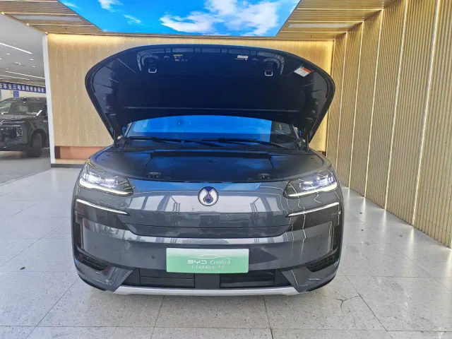 Denza N9 — Фото автомобиля 3