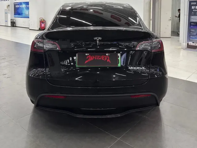 Tesla Model Y — Фото автомобиля 4