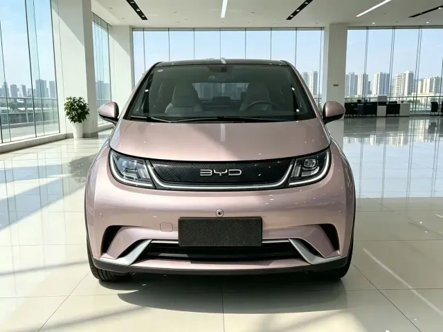 BYD Dolphin — Фото автомобиля 2