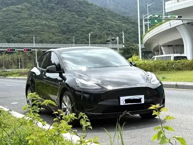 Tesla Model Y — Фото автомобиля 3