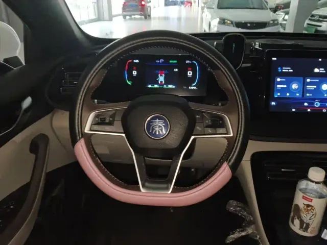 BYD Qin PLUS — Фото автомобиля 6