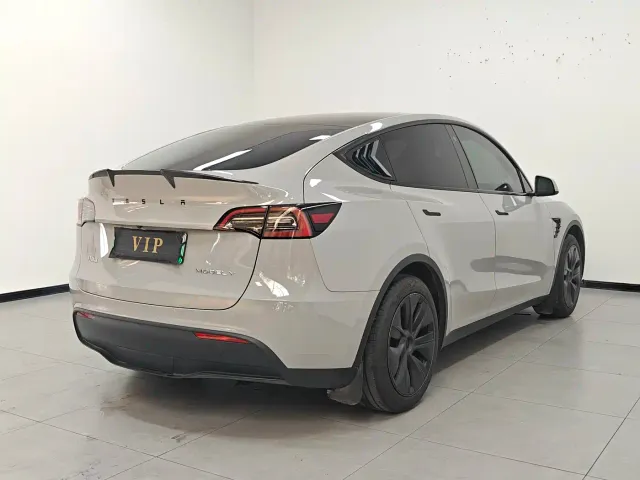 Tesla Model Y — Фото автомобиля 6