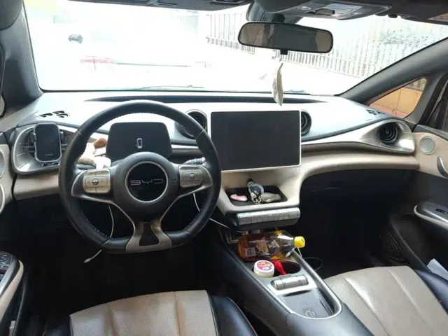 BYD Dolphin — Фото автомобиля 12