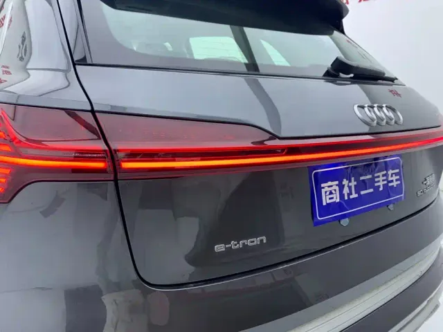 Audi e-tron — Фото автомобиля 9