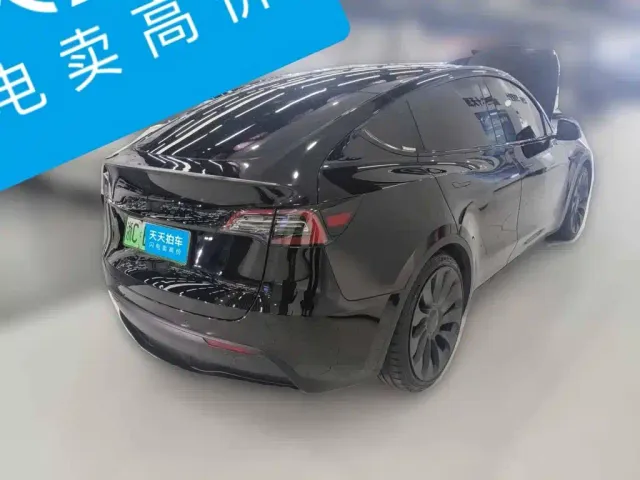 Tesla Model Y — Фото автомобиля 2