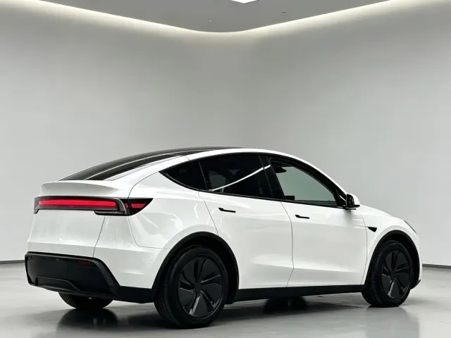 Tesla Model Y — Фото автомобиля 7
