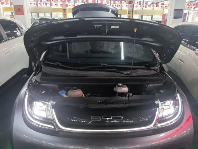 BYD Dolphin — Фото автомобиля 19