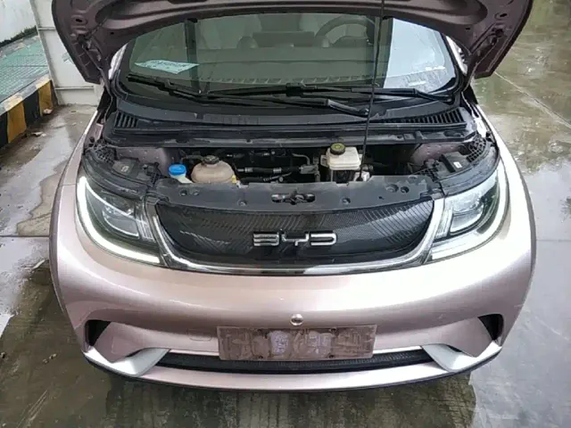 BYD Dolphin — Фото автомобиля 19