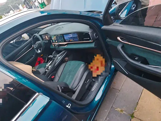 Geely Xingyue L — Фото автомобиля 19