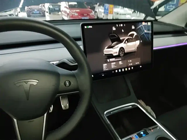 Tesla Model Y — Фото автомобиля 13