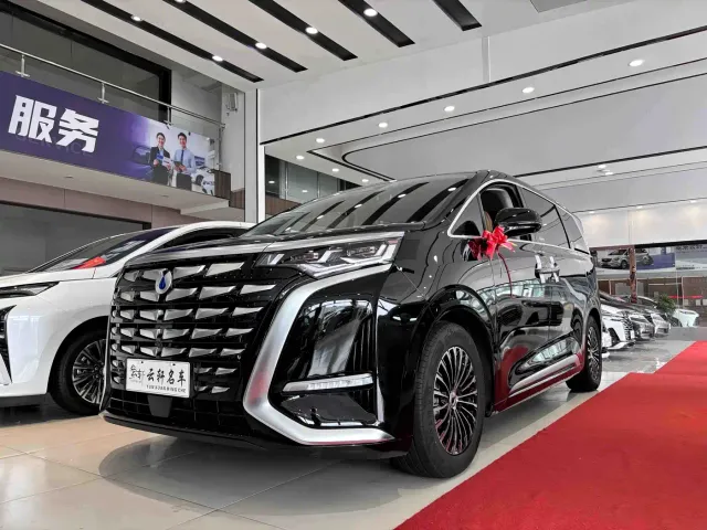 Фотография автомобиля — Denza D9