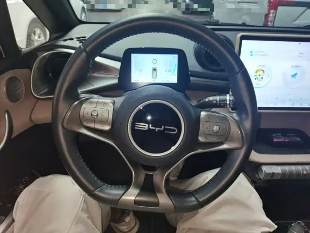 BYD Dolphin — Фото автомобиля 10