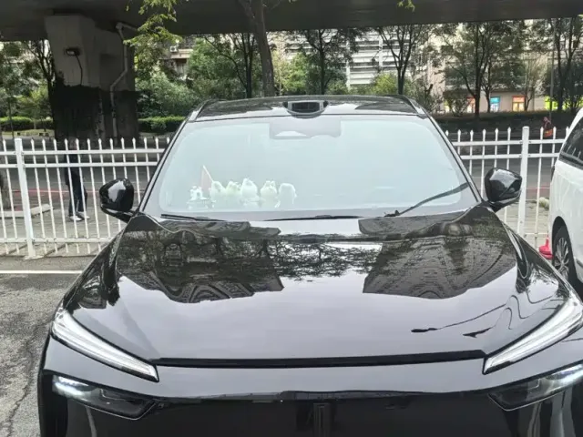 Wey Lanshan — Фото автомобиля 3