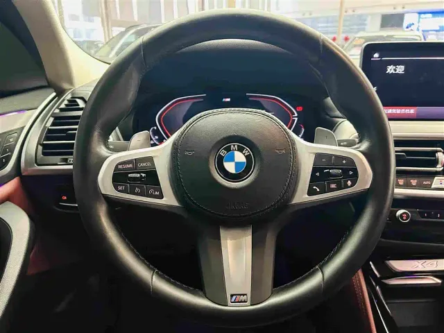 BMW X4 — Фото автомобиля 16
