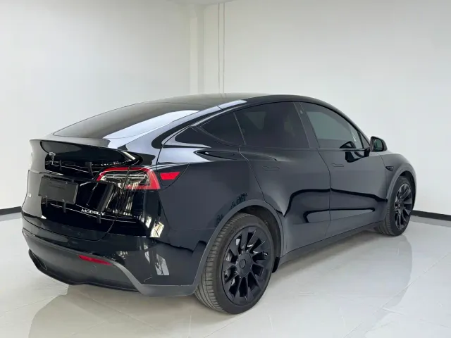 Tesla Model Y — Фото автомобиля 6
