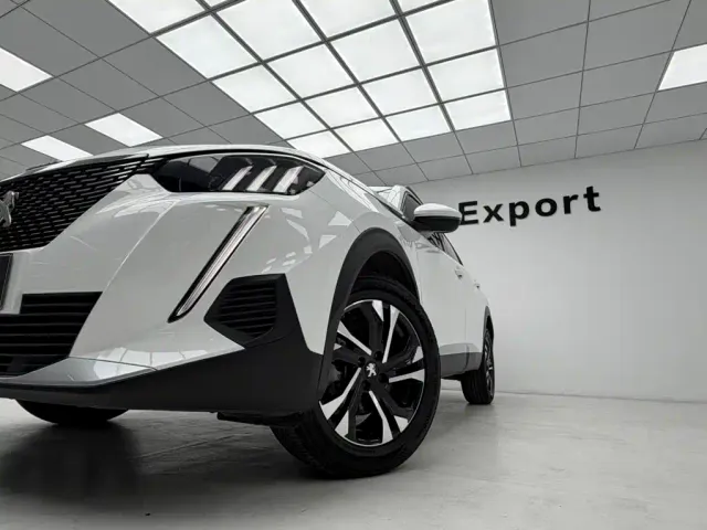 Peugeot 2008 — Фото автомобиля 11