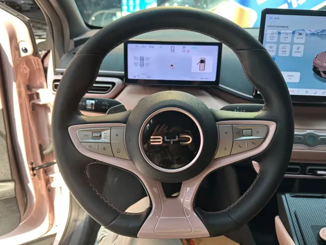 BYD Seagull — Фото автомобиля 10